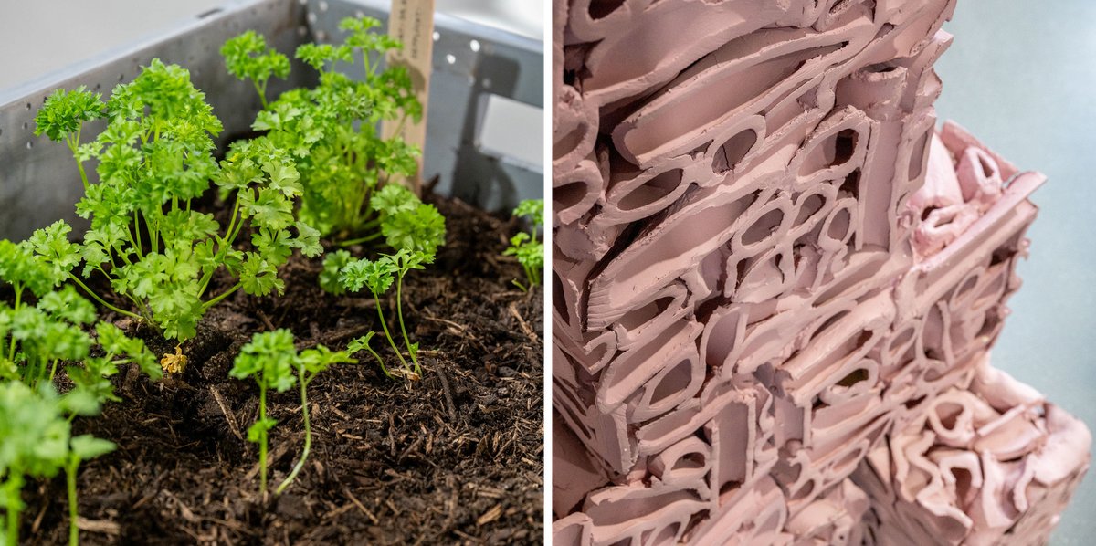 "Wurmcohabitate-Bedrock Intelligence" des Kollektivs Blockadia Tiefsee. Rechts das "Pink Element No. 4 /Penthouse" der Gruppe Superflex. "Wurmcohabitate-Bedrock Intelligence" des Kollektivs Blockadia Tiefsee. Rechts das "Pink Element No. 4 /Penthouse" der Gruppe Superflex.