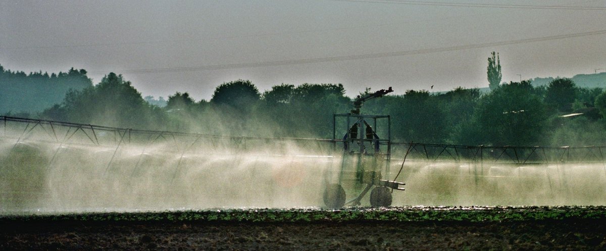 Gespritzt sind die Felder schon – Pestizid-Statistiken fehlen noch. 