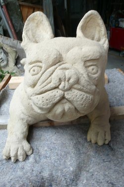 Max, der neue Kontext-Mitbewohner. Foto: Susanne Stiefel