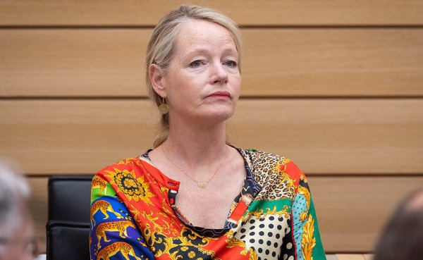 Umweltministerin Thekla Walker (Grüne) unterstützte die Umsetzung ohne zusätzliche Frist. Foto: Julian Rettig