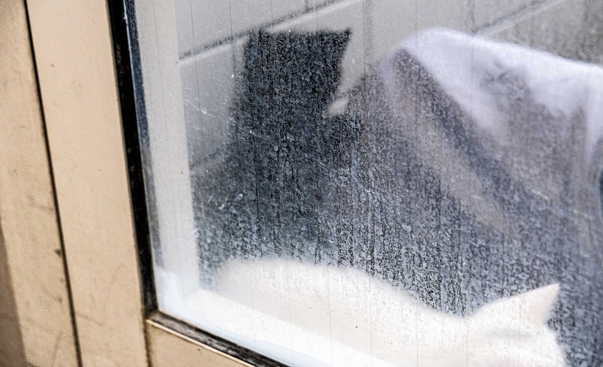 Ein Leben für Tiere