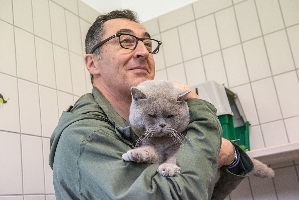 Awww, so ein süßes Kätzle.  Awww, so ein süßes Kätzle.