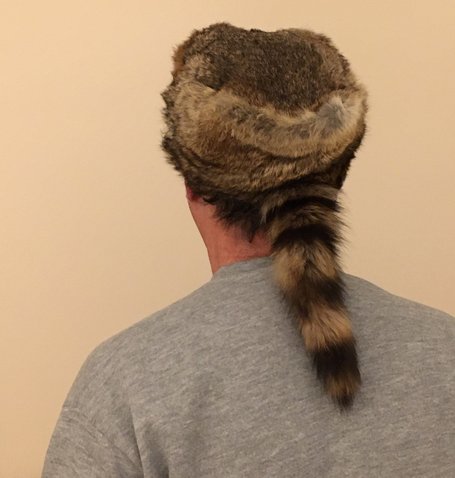 Nützlichkeit des Waschbären à la FDP. Foto: <a rel="nofollow" class="external text" href="https://creativecommons.org/licenses/by-sa/4.0/" target="_blank" class="external-link-new-window">CC BY-SA 4.0</a>,  <a rel="nofollow" class="external text" href="https://commons.wikimedia.org/wiki/File:Man_wearing_coonskin_cap.jpg#/media/File:Man_wearing_coonskin_cap.jpg" target="_blank" class="external-link-new-window">Wikimedia Commons</a>