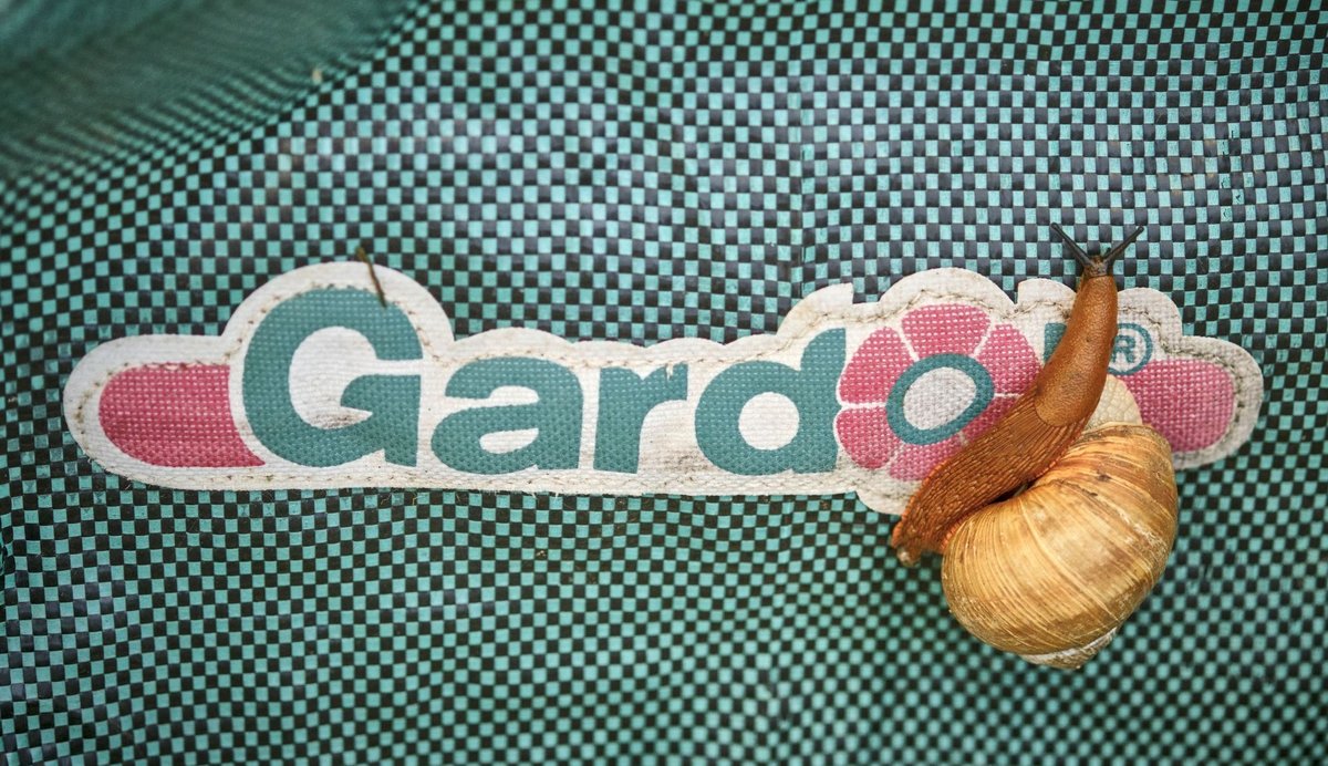 Sogar mit den Trendfarben des Sommers sind sie vertraut. #fashionsnails #shellebrity Sogar mit den Trendfarben des Sommers sind sie vertraut. #fashionsnails #shellebrity