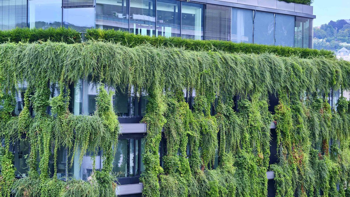 Dämpft die Hitze im Stuttgarter Kessel: Fassade des "Grünen Hauses" am Rotebühlplatz. Foto: Joachim E. Röttgers