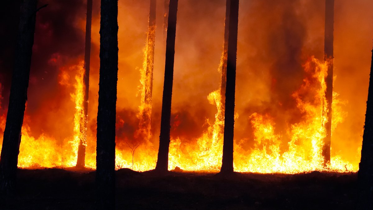 Klimakatastrophe? US-Präsident Donald Trump weicht brennenden Wäldern via Grönland aus. Foto: Ervins Strauhmanis, Flickr, CC BY 2.0