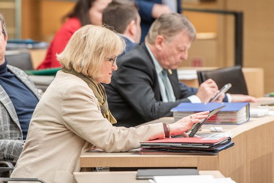Sabine Hartmann-Müller, MdL aus Waldshut. Foto: Jens Volle