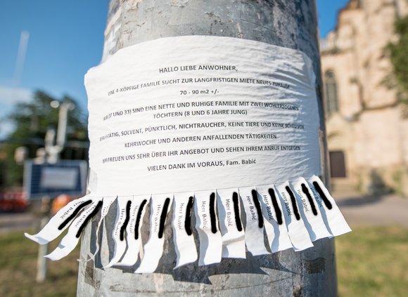 Wie gerne würden sie einziehen. Foto: Jens Volle