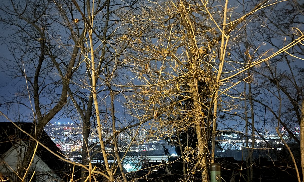 Der Blick von der Landhausstraße zwischen Hecken und Bäumen auf die Lichter Stuttgarts in der zivilen Dämmerung. Foto: privat
