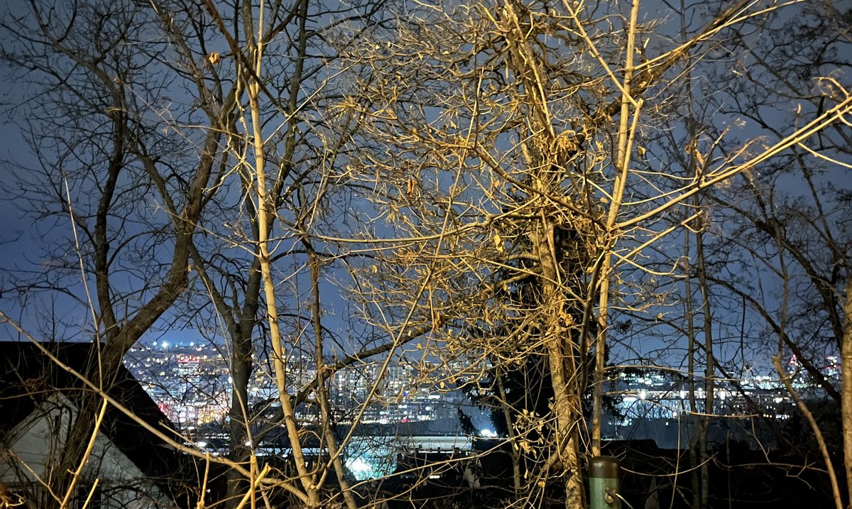 Der Blick von der Landhausstraße zwischen Hecken und Bäumen auf die Lichter Stuttgarts in der zivilen Dämmerung. Foto: privat