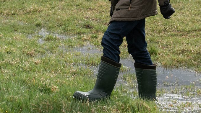 Bald mehr Zeit für Flora und Fauna. Hier im Moor bei Ammerbuch, 2022. Foto: Jens Volle