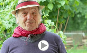 Gehaltsverzicht und Gewaltverzicht