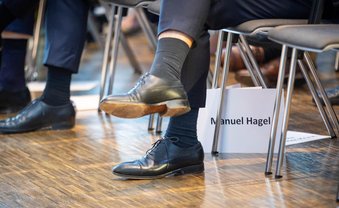 Zaghaftes Zugpferd