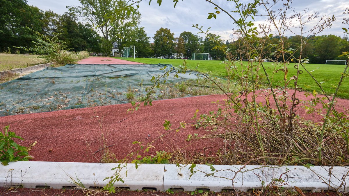 Dornenbüsche wuchern an der Tartanbahn, Gräser sprießen aus der Sandgrube für Weitsprung.
