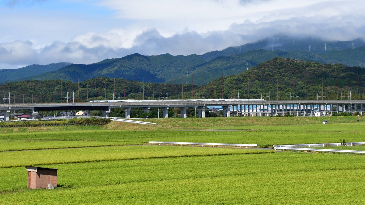 Shinkansen-Strecken werden oft auf Betonstelzen geführt, denn sie sollen möglichst gerade sein. Außerdem sind die Stelzen gegen Erdbeben geschützt.