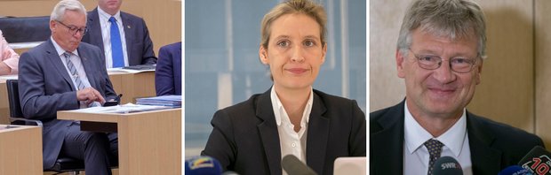 Das Vertrauen der WählerInnen in die AfD scheint zu sinken. Von links: Bernd Gögel, Alice Weidel und Jörg Meuthen. Fotos: Joachim E. Röttgers