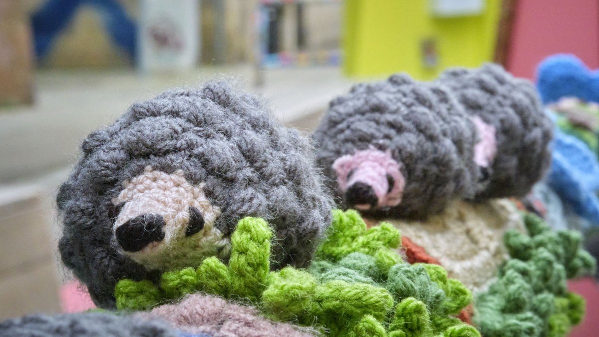 Freilaufende Igel.