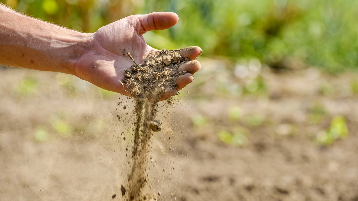Hitze und Dürre werden immer stärker, doch die Landesregierung im Südwesten kommt nicht ins Handeln. Foto: Joachim E. Röttgers
