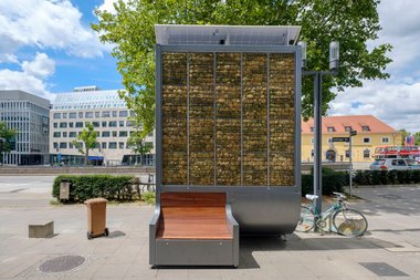 Wenn's doch nur so einfach wäre. Moosanlage "City Tree" am Stuttgarter Charlottenplatz.