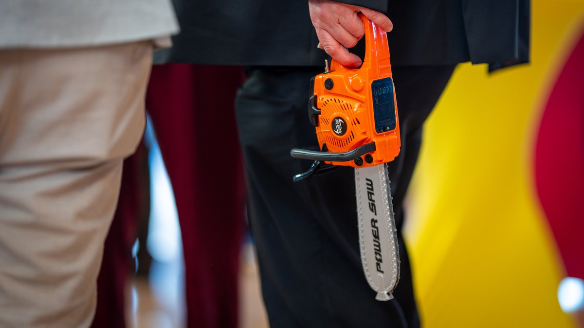 Die Kettensäge: Laut der FDP-Generalsekretärin Judith Skudelny kann sie aus dem Staat ein Kunstwerk machen.