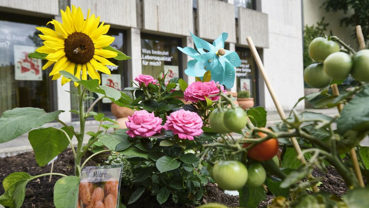 Gartenstadt – eine der postindustriellen Wohnformen, die eine Ausstellung am Stuttgarter Stöckach zur IBA'27 vorstellt. Foto: Joachim E. Röttgers