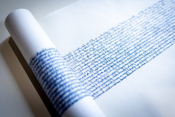 Handschriftlich schrieb Hofmeister Auszüge eines Standardwerks zur Psychodynamik ab. 