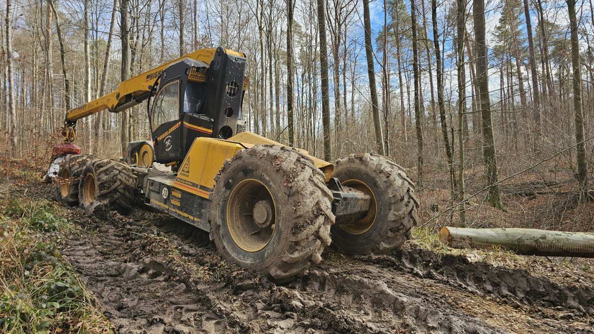 Schwere Maschinen wie dieser Harvester schädigen den Waldboden. Foto: Michael Hoffmann, Initiative Schutzwald Schurwald