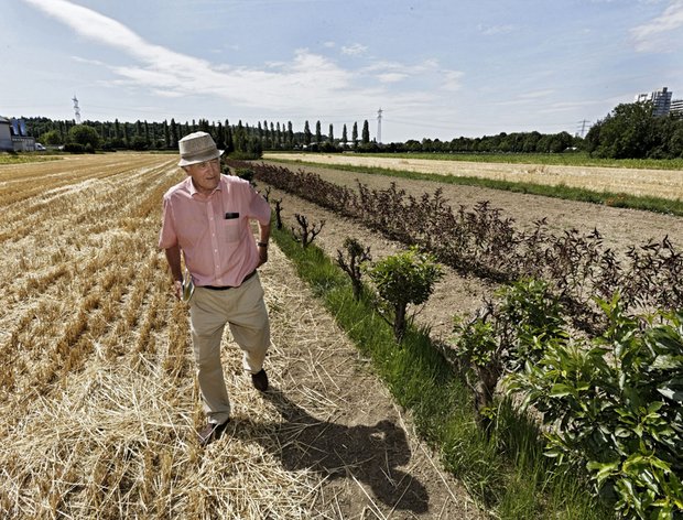 Noch ist Grafmüllers Acker kein Sportplatz. "Ich hätte nie gedacht, dass das so ausartet."