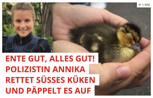 Medien greifen Annikas Heldentat dankbar auf. Screenshot: tag24.de