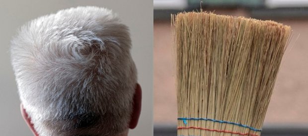 Bürstenschnitt schafft Vertrauen: Das belegen die frappierend ähnlichen Rückansichten zweier schwäbischer Hoffnungsträger.