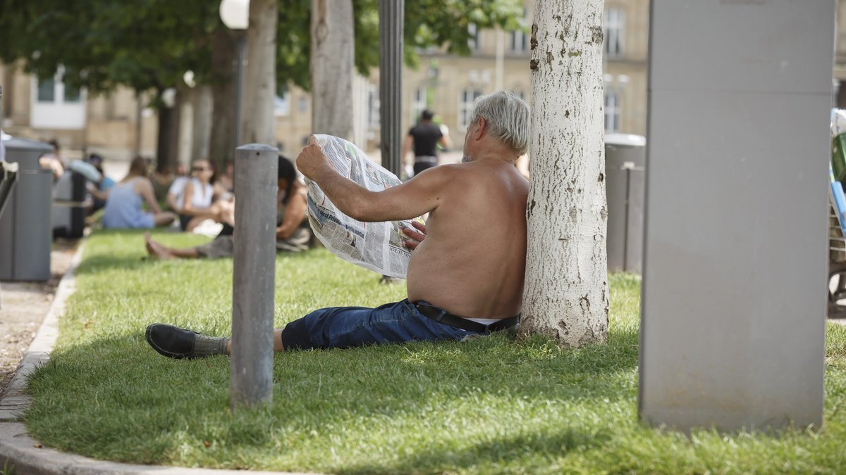 Rast im Schatten eines Baumes. Foto: Julian Rettig