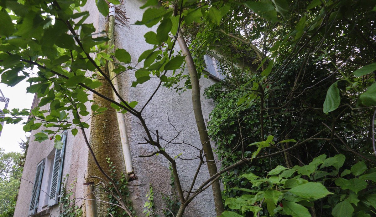 Rostige Zeitzeugin.  Rostige Zeitzeugin.