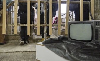 Kunstpelz schlägt Krise