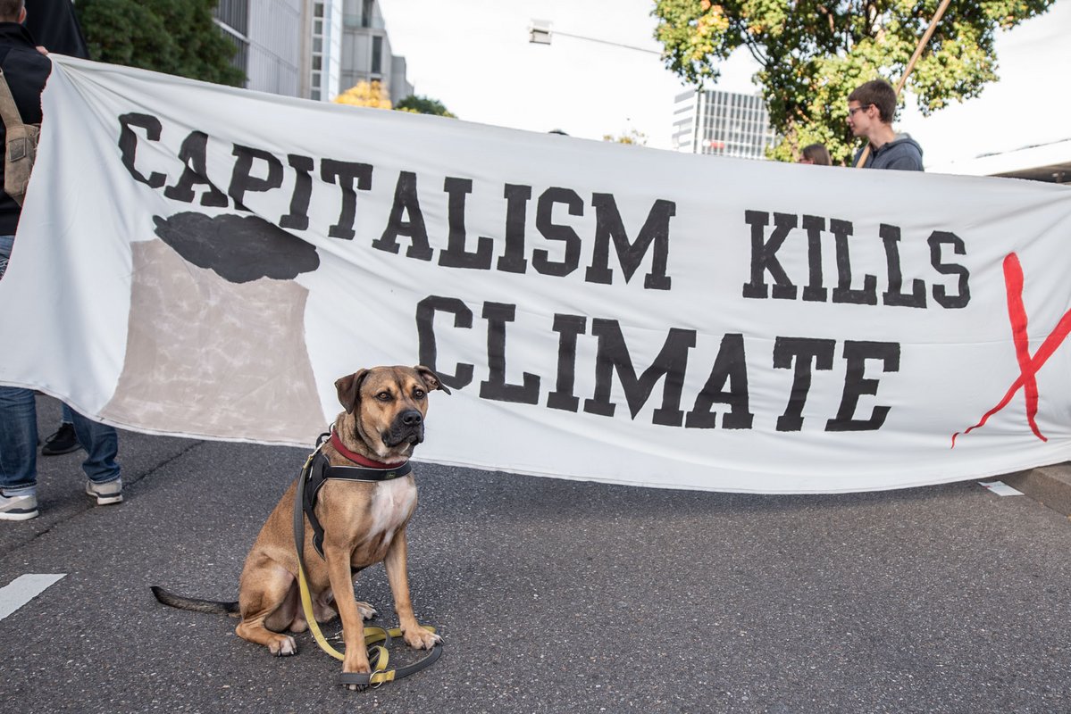 Doggos for Future (und gegen die dreckskapitalistische Hundesteuer!). 