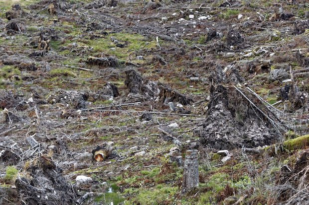 Naturkatastrophen – wie schwere Stürme – werden durch den wachstumsbedingten Klimawandel weiter zunehmen.
