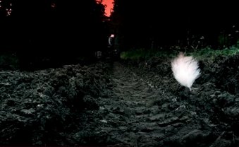 Kohle für Wildtierschützer