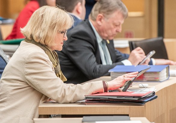 Ausgestochen vom JU-Mann: Sabine Hartmann-Müller (CDU). Foto: Jens Volle