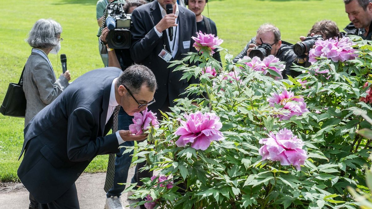 Riesiger Medientrubel: Der grüne Bundesagrarminister Cem Özdemir schnuppert an einer Pfingstrose. 