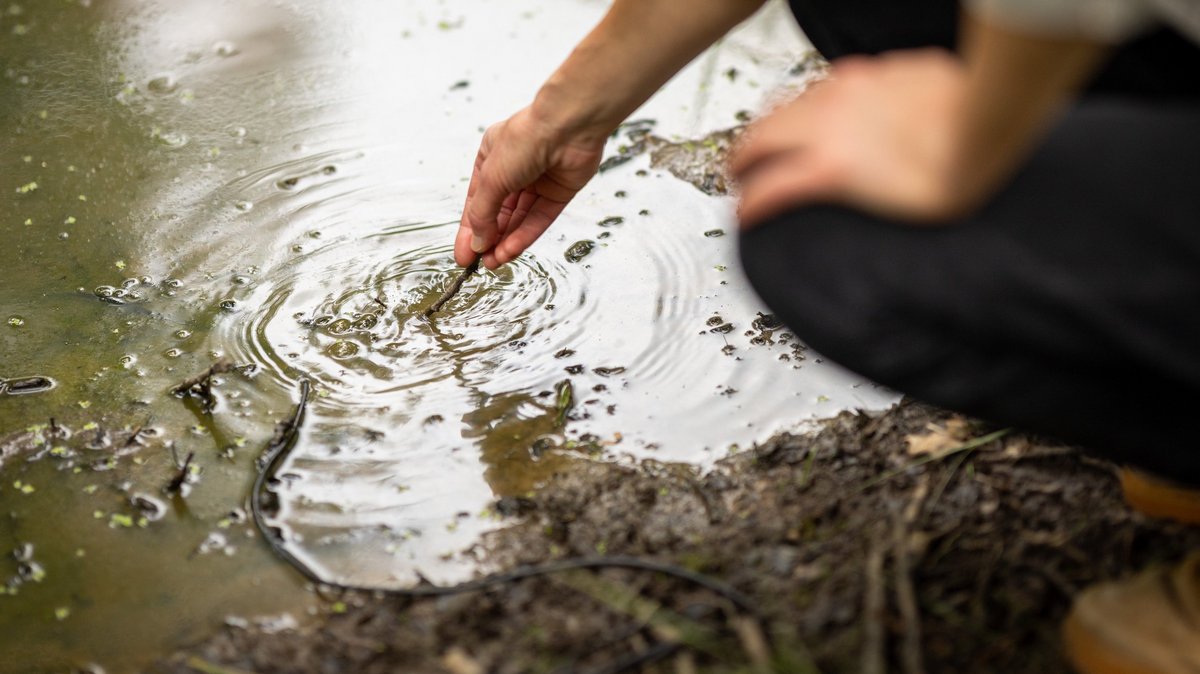 ... ein anderes im Wasser. Das Rühren mit dem Stöckchen macht richtig Lärm.