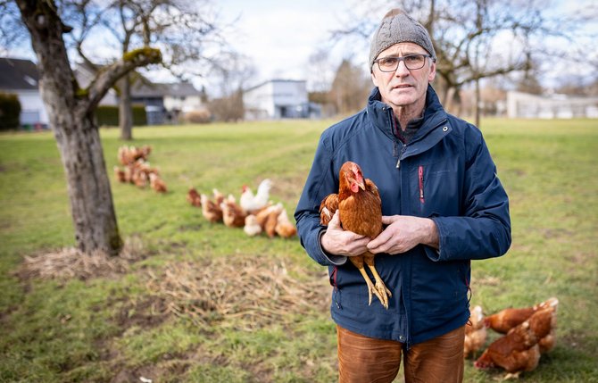 Ackerbau und Milchvieh ergänzen sich, sagt Weber. Auch Hühner gehören dazu.