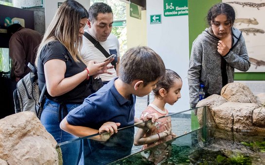 Staunen ob der lurchenden Lurche.