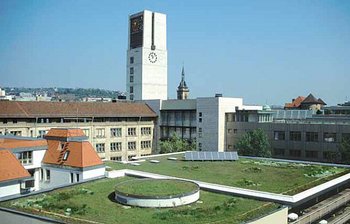 Grüne Dächer kühlen die Hitze der Stadt. Foto: Stadtklimatologie Stuttgart