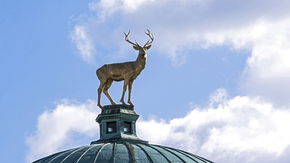 Unter der Hirschkuppel des Kunstgebäudes in Stuttgart gibt es am Wochenende ein umstrittenes Symposium. Foto: Joachim E. Röttgers