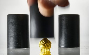 Die Bundesanstalt für Finanzbetrug