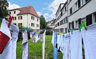 FDP überholt Grüne links
