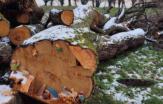 Vor Weihnachten gab's in Bretten diese Bescherung. Foto: Nabu BW