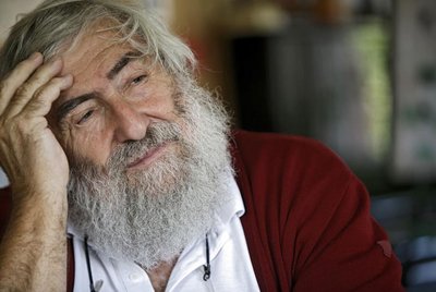 "Die Grünen denken nicht groß genug."