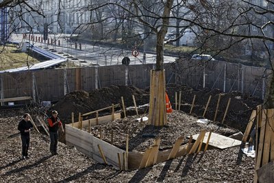 Versuch eines Kompromisses: Baum umpflanzen. Foto: Joachim E. Röttgers