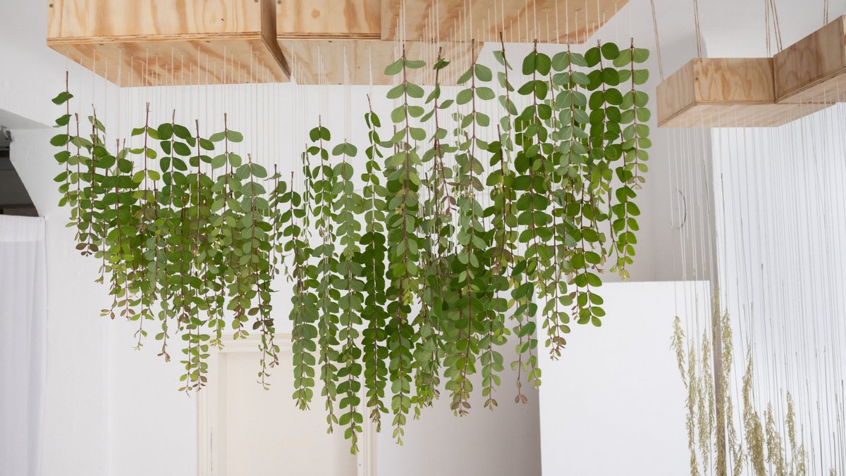 Installation "blühen" von Benjamin Miller. Foto: Ulrike Reichart