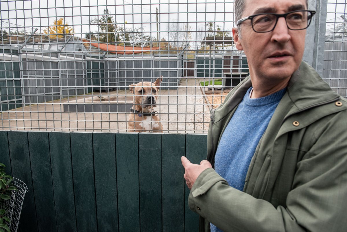 Ja, das ist ein Hund. Ja, das ist ein Hund.